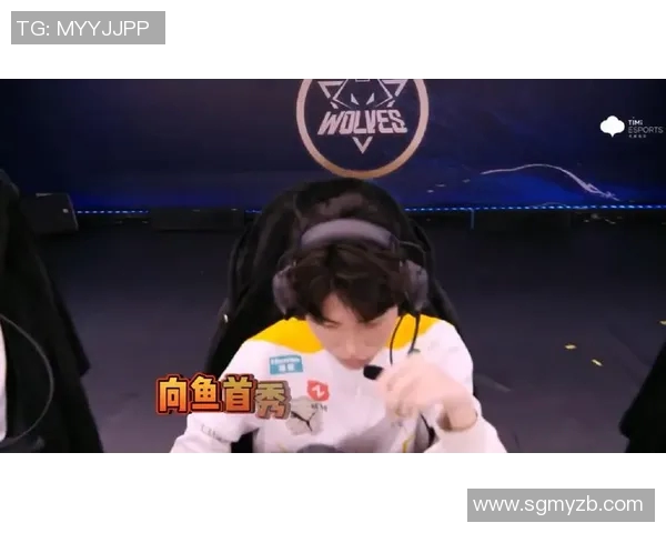 KPL春季赛精彩回顾向鱼带领战队勇闯巅峰之路