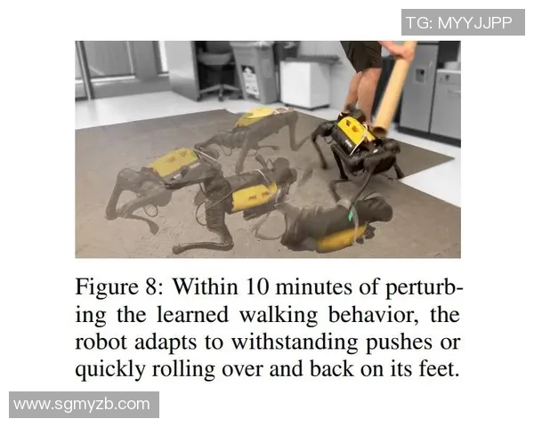 绝境逆袭未能成功Falcons在激战中惜败PVISION展现顽强斗志 绝境逆袭未能成功Falcons在激战中惜败PVISION展现顽强斗志